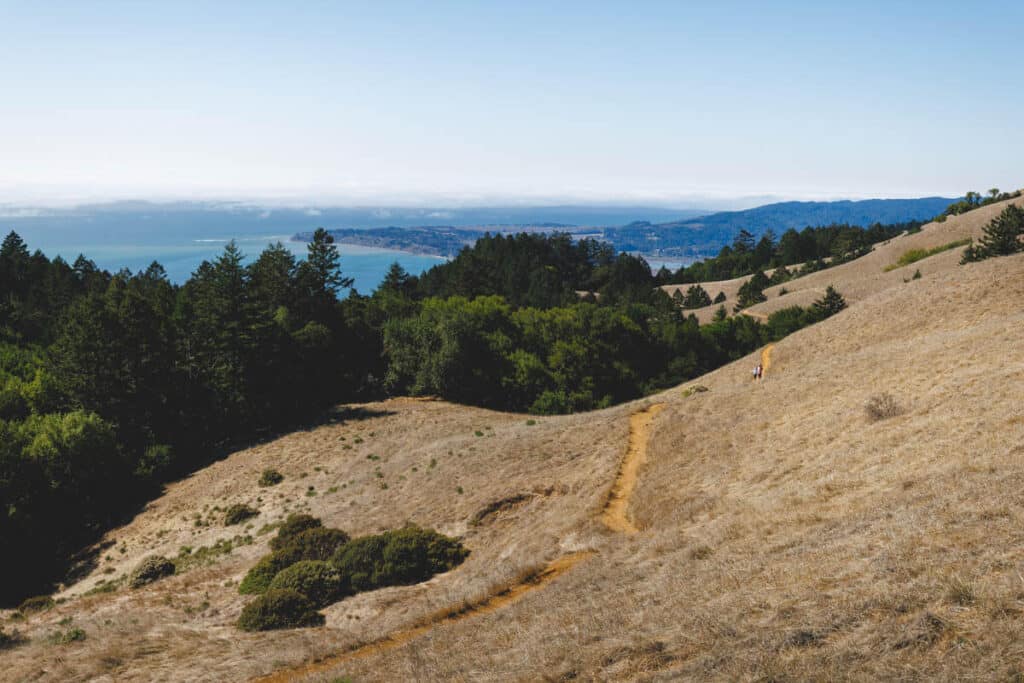 Best Hiking in Bay Area