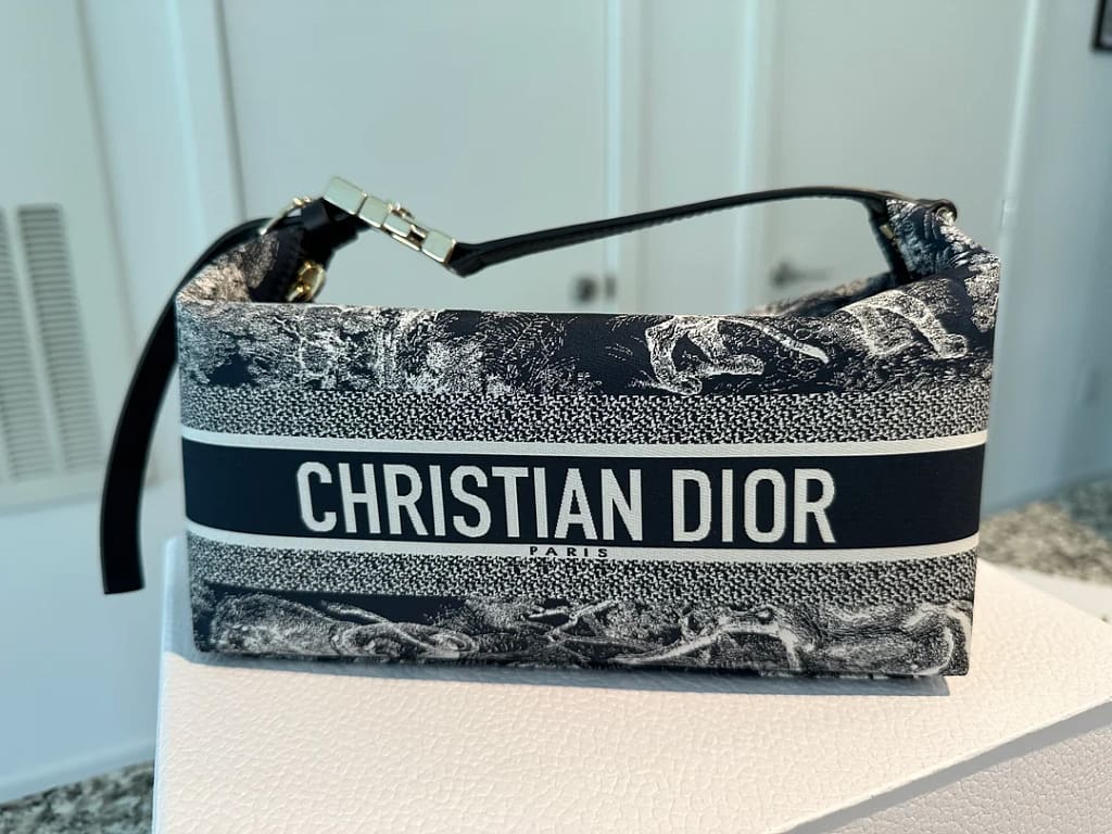 DiorTravel Nomad Pouch