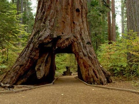 Great Hiking in Bay Area