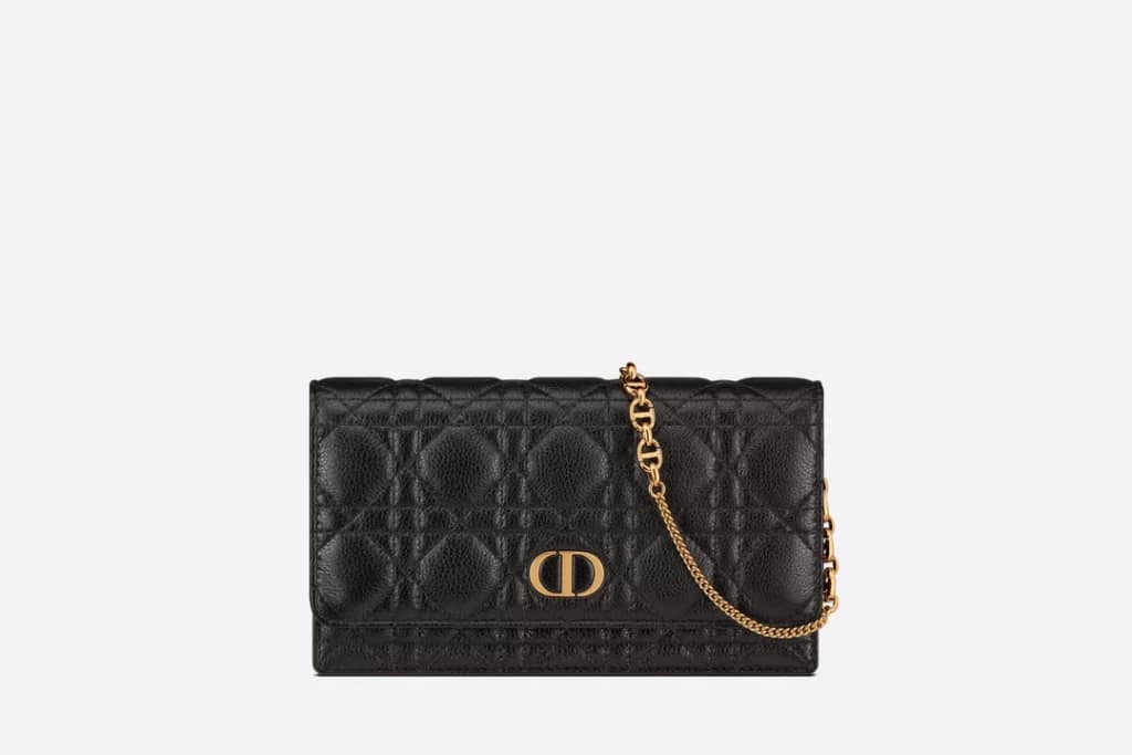 Dior Caro Zipped Pouch